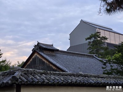 【小团圆】+发现不凡