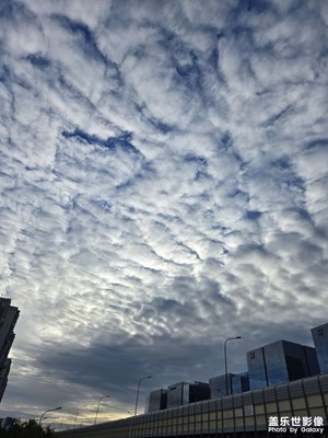 【秋日丽影】+阴天晴天