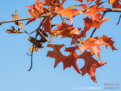 【摄影版块十月第三周】秋日丽影