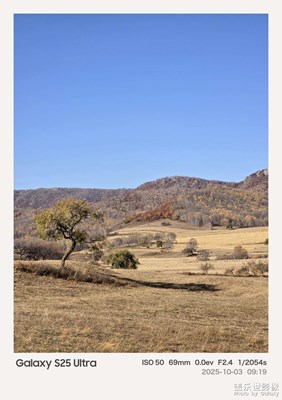 【秋日丽影】草原的秋