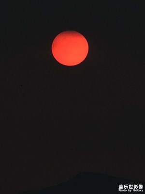 【秋日丽影】广东鲜花绽放