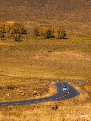 Galaxy S23 Ultra 内蒙秋景