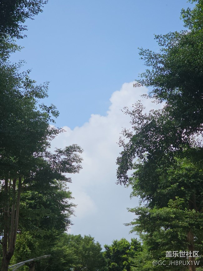 【我与盖乐世社区】丰富生活