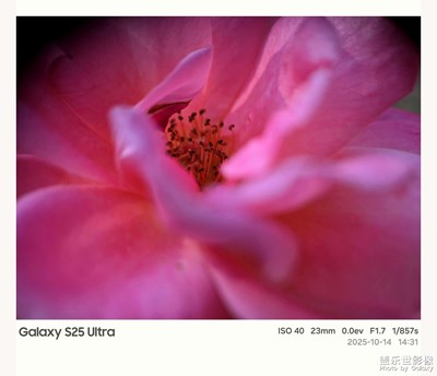 【秋日丽影】秋之魅