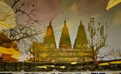 【摄影版块十月第四周】秋尾拾光