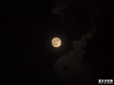 【秋日丽影】+月盈