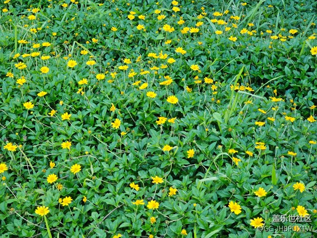 【旅途中的精彩时刻】路上随拍