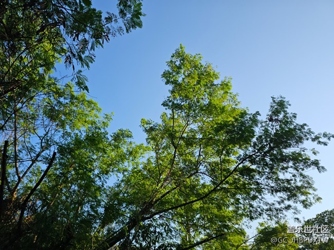【旅途中的精彩时刻】路上随拍