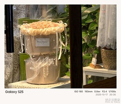 《我的视界》—我眼“框”里的世界