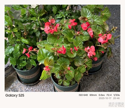 《我的视界》—我眼“框”里的世界