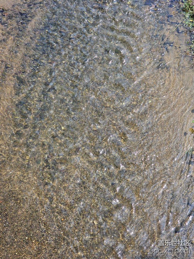 【旅途中的精彩时刻】瞬间精彩