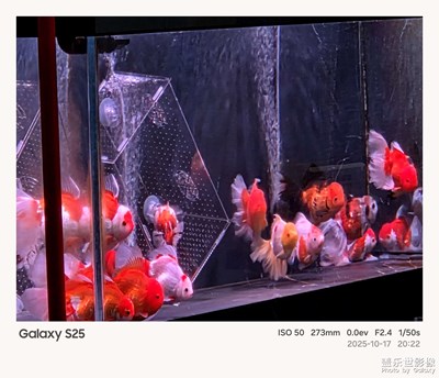 《故事》—用相框记录的故事