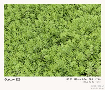 《我的视界》—我眼“框”里的世界