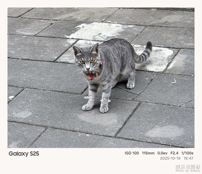 《故事》—用相框记录的故事