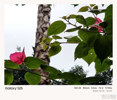 《光影色彩》—日常中的光影色彩