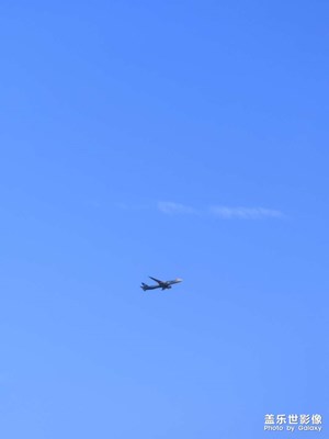 【秋日丽影】+城市一角