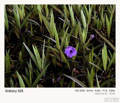 《我的视界》—我眼“框”里的世界