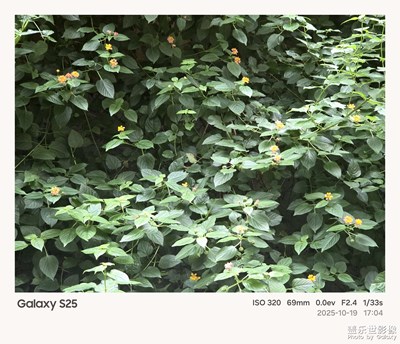 《故事》—用相框记录的故事