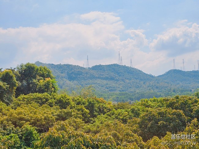 【秋意调色盘】郊外秋景