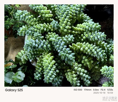 《夜生活》—用镜头框住塞博夜景