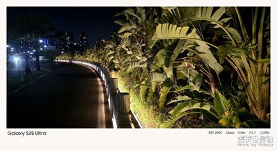 《夜生活》静谧的海边