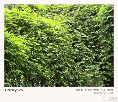 《光影色彩》—日常中的光影色彩