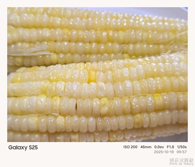 《节日盛景》—镜框下的节假日