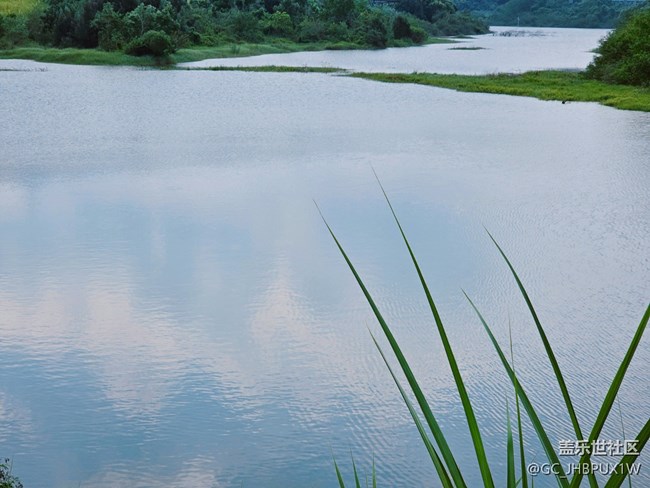 【秋意调色盘】郊外秋景