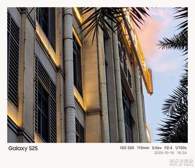 《我的视界》—我眼“框”里的世界