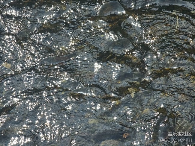 【旅途中的精彩时刻】瞬间精彩