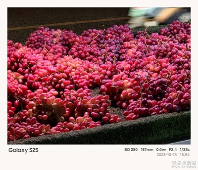 《夜生活》—用镜头框住塞博夜景