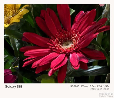 《节日盛景》—镜框下的节假日