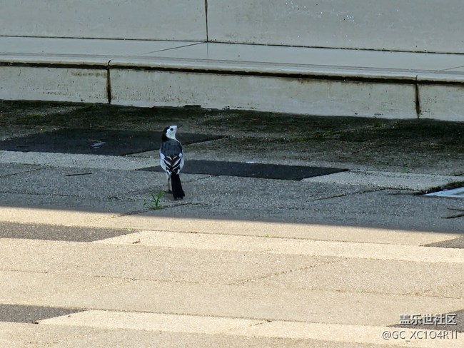 【旅途中的精彩时刻】瞬间精彩