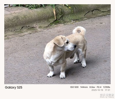 《我的视界》—我眼“框”里的世界