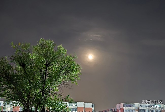 【秋夜星空】月光下的秋