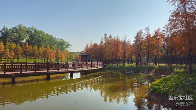 【秋意调色盘】秋意