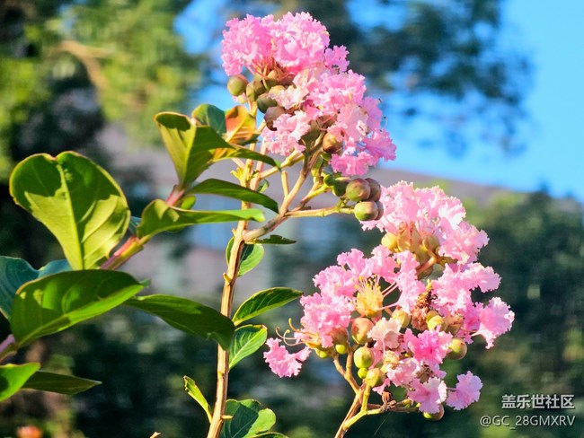 【秋意调色盘】色彩斑斓