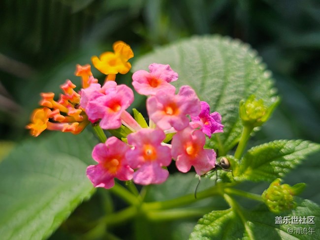 【旅途中的精彩时刻】旅途愉快