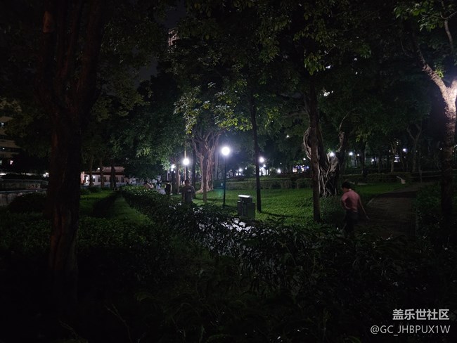 【秋夜星空】月夜