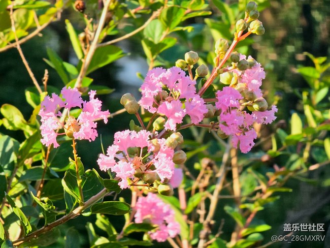 【秋意调色盘】色彩斑斓