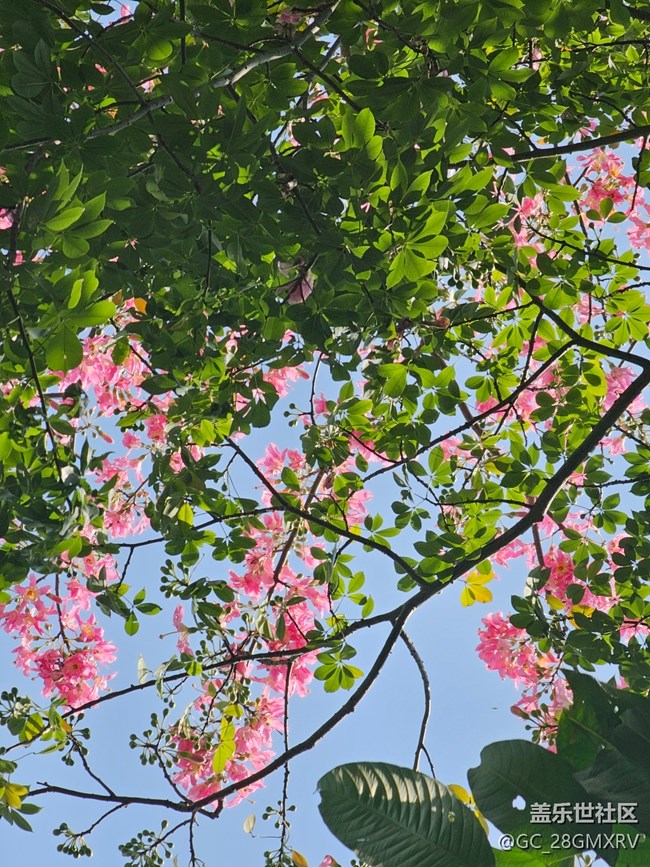 【秋意调色盘】色彩斑斓