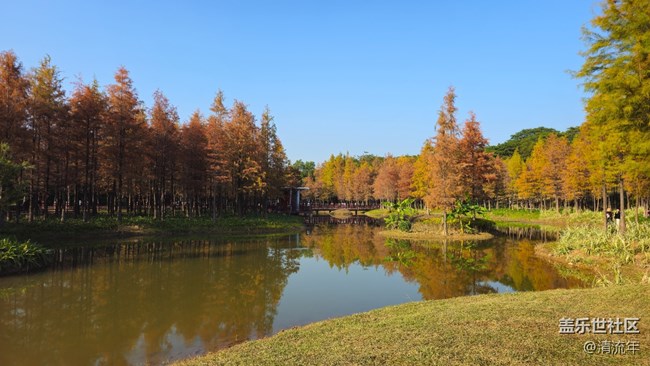 【秋意调色盘】秋意