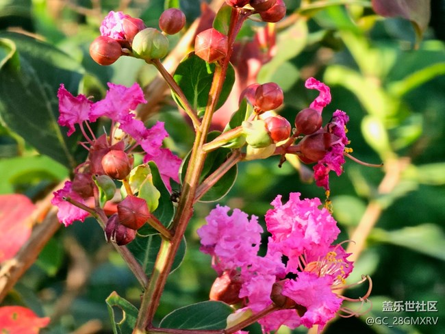 【秋意调色盘】色彩斑斓