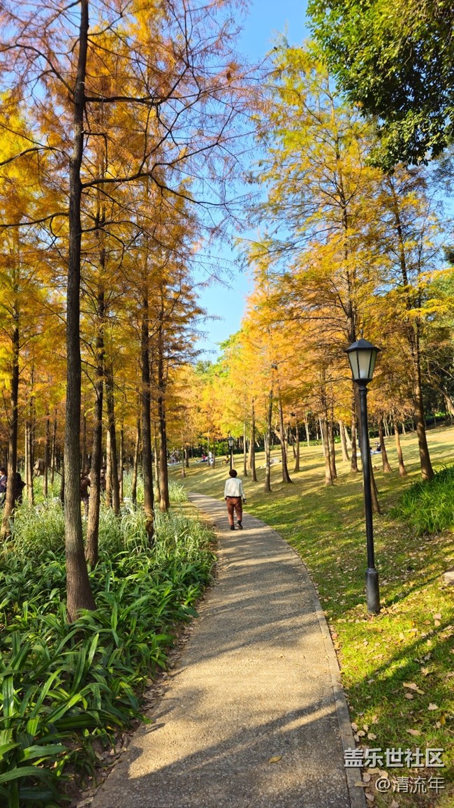 【秋意调色盘】秋意