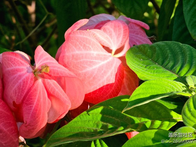 【秋意调色盘】色彩斑斓