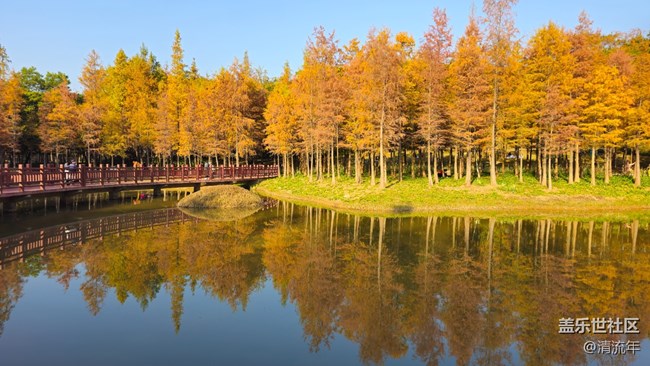 【秋意调色盘】秋意