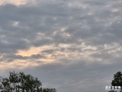 【秋日丽影】+生活调味剂