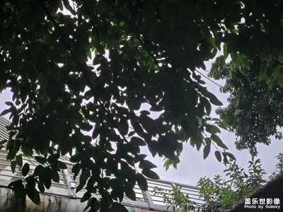 【秋日丽影】寒来暑往