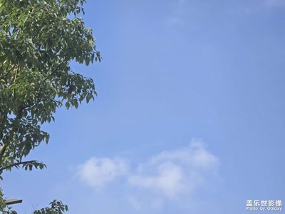 【秋日丽影】+蓝天白云