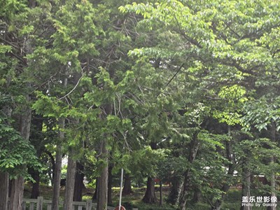 【秋日丽影】温暖的阳光